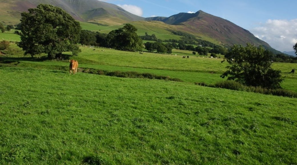 Photo "Bassenthwaite" by Philip Halling (CC BY-SA) / Cropped from original
