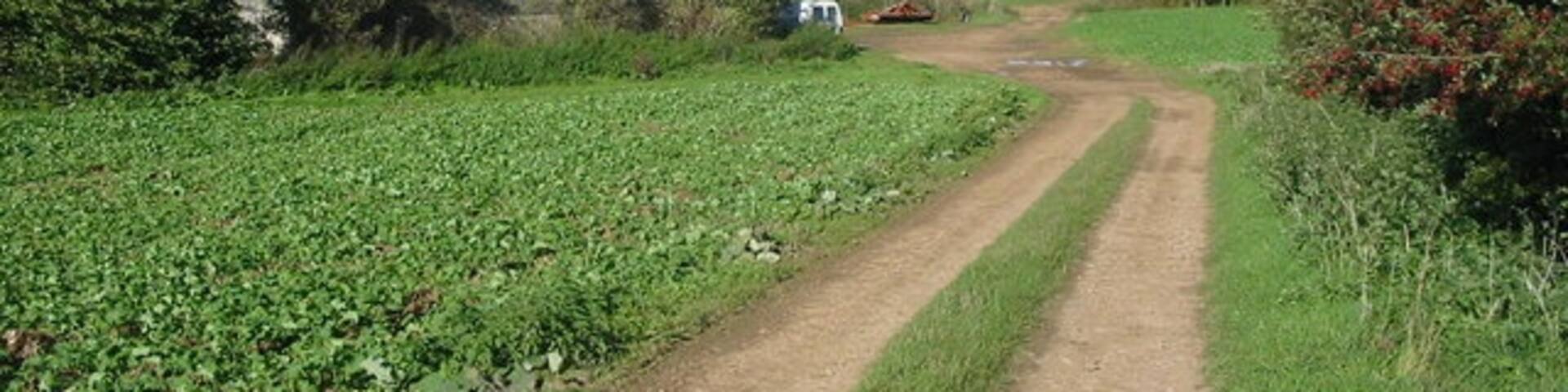 Farm Buildings Near Apethorpe