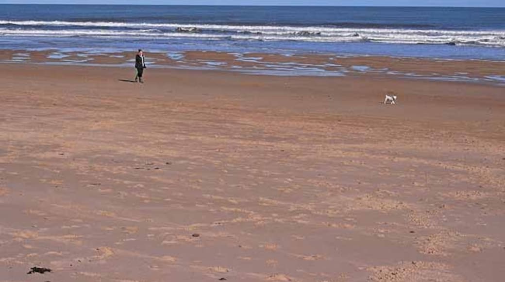 Photo "Seaton Sluice Beach" by Oliver Dixon (CC BY-SA) / Cropped from original