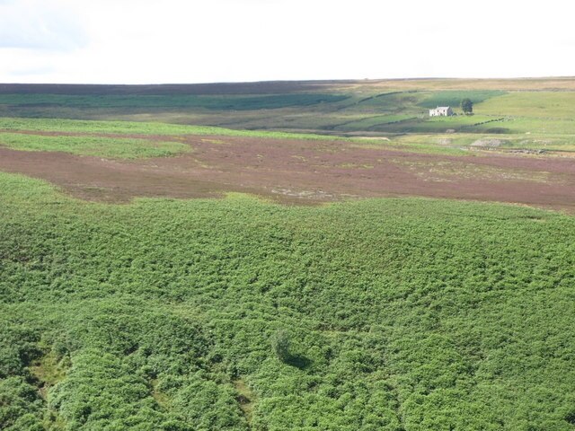 Photo "Muggleswick" by Mike Quinn (CC BY-SA) / Cropped from original