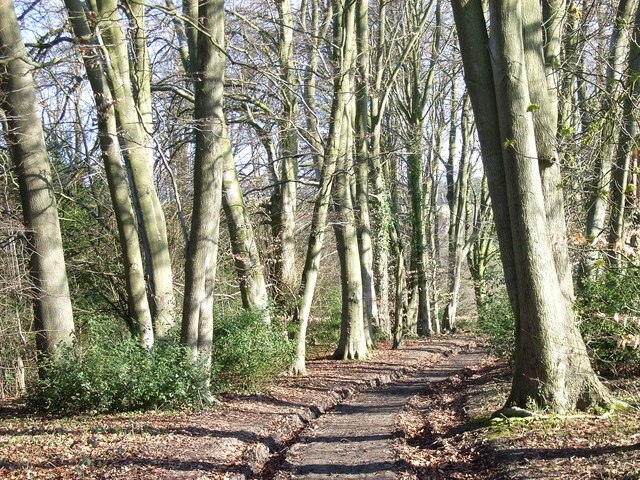 Foto „Penn“ von Andrew Smith (CC BY-SA)/zugeschnittenes Original