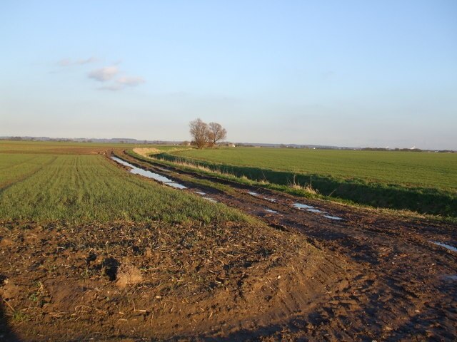 Photo "Reedness" by Glyn Drury (CC BY-SA) / Cropped from original