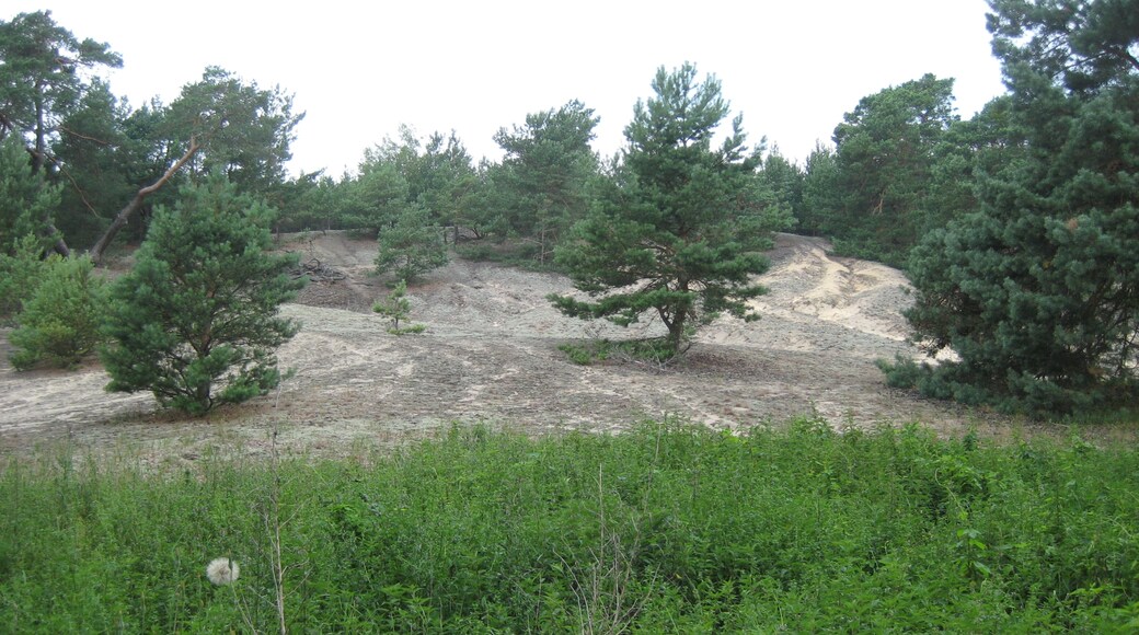 Photo "Rietzneuendorf-Staakow" by Löwe 48 (CC BY-SA) / Cropped from original