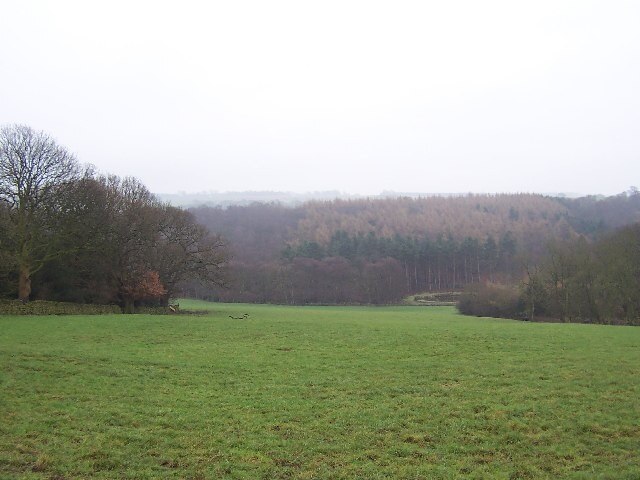 Foto “Parque Haverah” tomada por Chris Heaton (CC BY-SA); recorte de la original