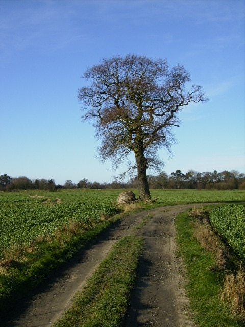 "Scampston"-foto av Phil Catterall (CC BY-SA) / Urklipp från original