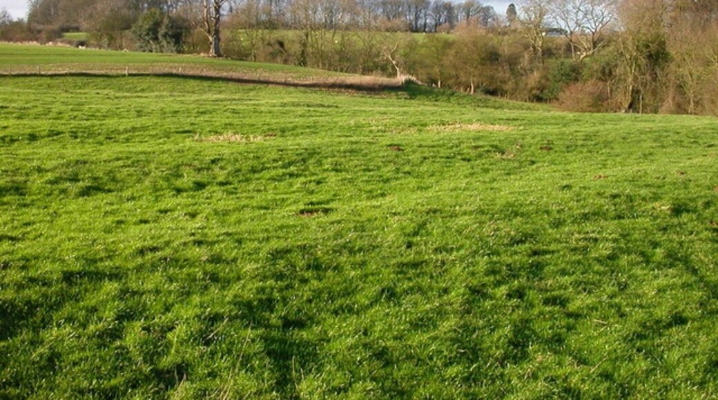 "Litchborough"-foto av Ian Rob (CC BY-SA) / Urklipp från original