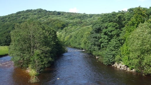 Photo "Hudswell" by Glyn Drury (CC BY-SA) / Cropped from original