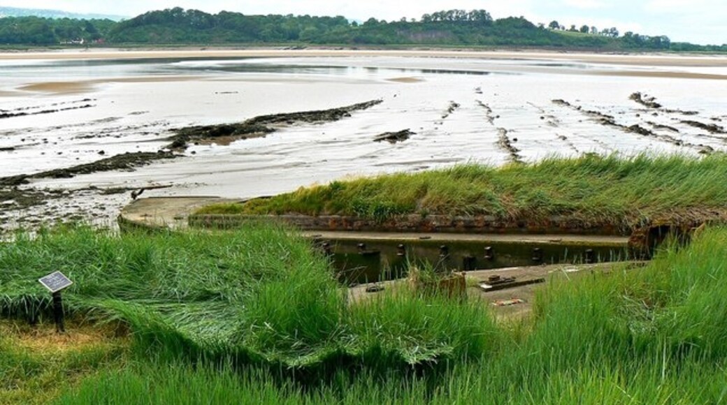 Foto "Hinton" por Brian Robert Marshall (CC BY-SA) / Recortada de la original