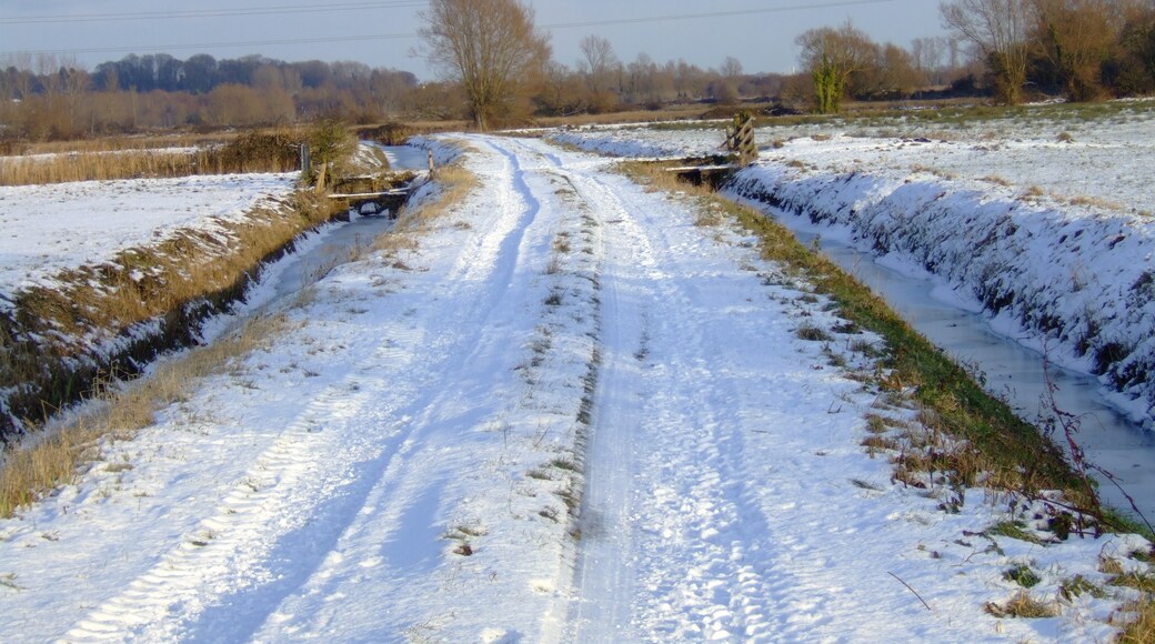 Photo "Redwick" by Ray Ok (CC BY) / Cropped from original