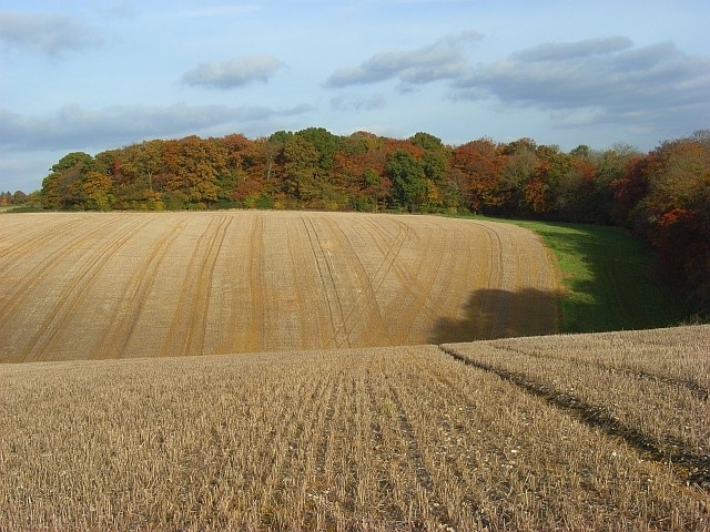 Photo "Great Marlow" by Andrew Smith (CC BY-SA) / Cropped from original