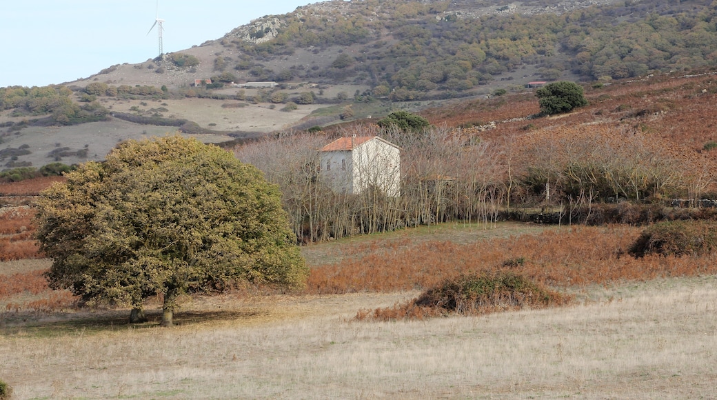 « Ploaghe», photo de Discanto (CC BY-SA) / rognée de l’originale