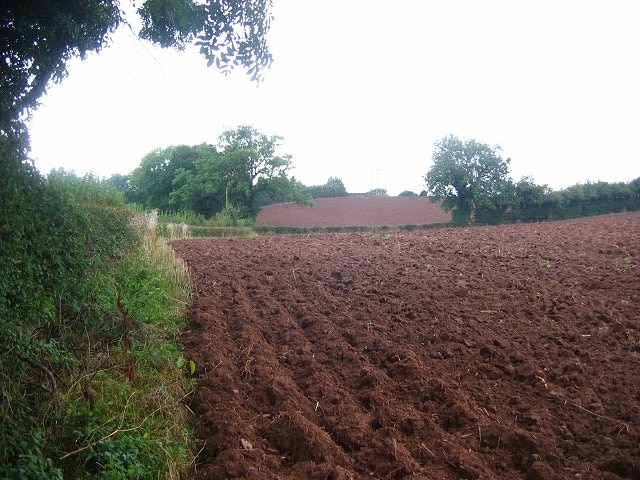 Ploughed fields, Tunnel Lane. Red soil freshly exposed alongside Tunnel Lane between Orleton and Ashton.