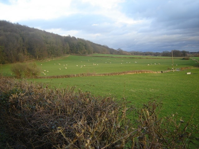 Landscape including woodland, near Great Llanmellin Woodland to left of shot contains ancient fort. Lower land all agricultural.