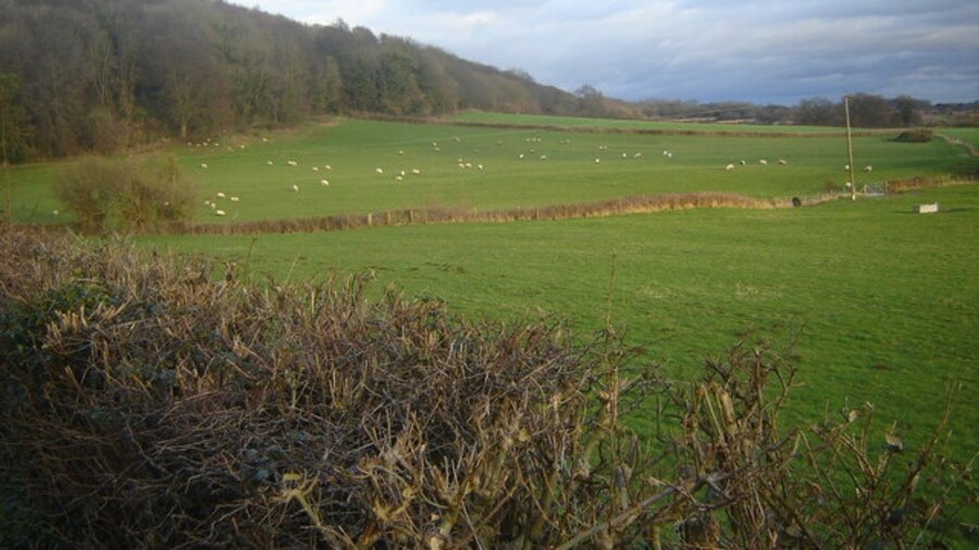 Photo "Landscape including woodland, near Great Llanmellin Woodland to left of shot contains ancient fort. Lower land all agricultural." by Ruth Sharville (Creative Commons Attribution-Share Alike 2.0) / Cropped from original