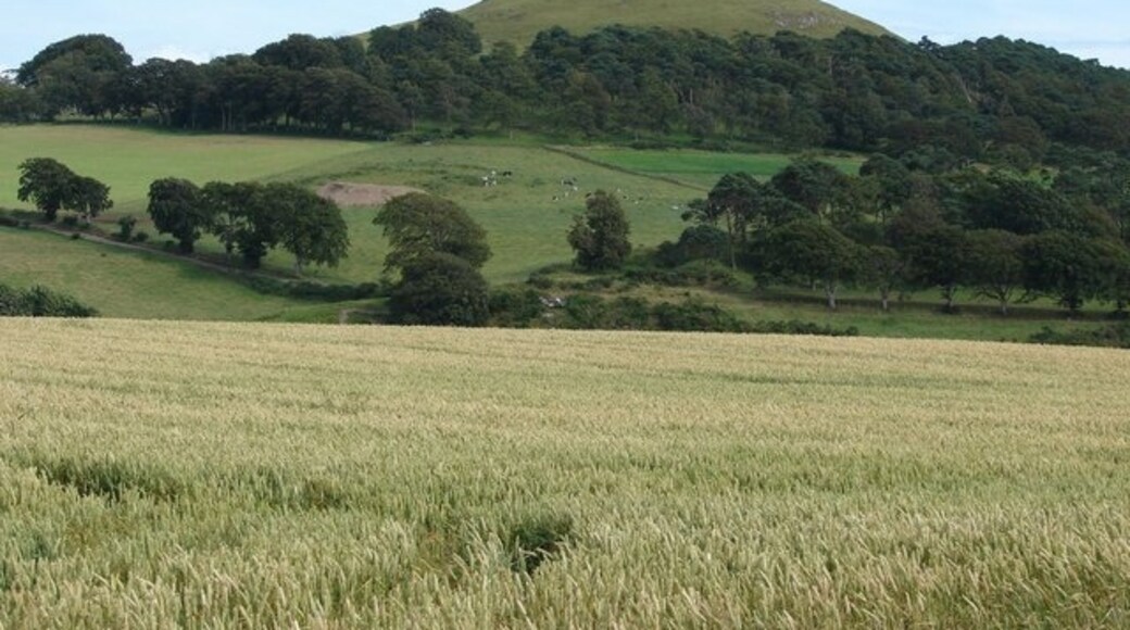 Photo "Covington" by David Hamilton (CC BY-SA) / Cropped from original