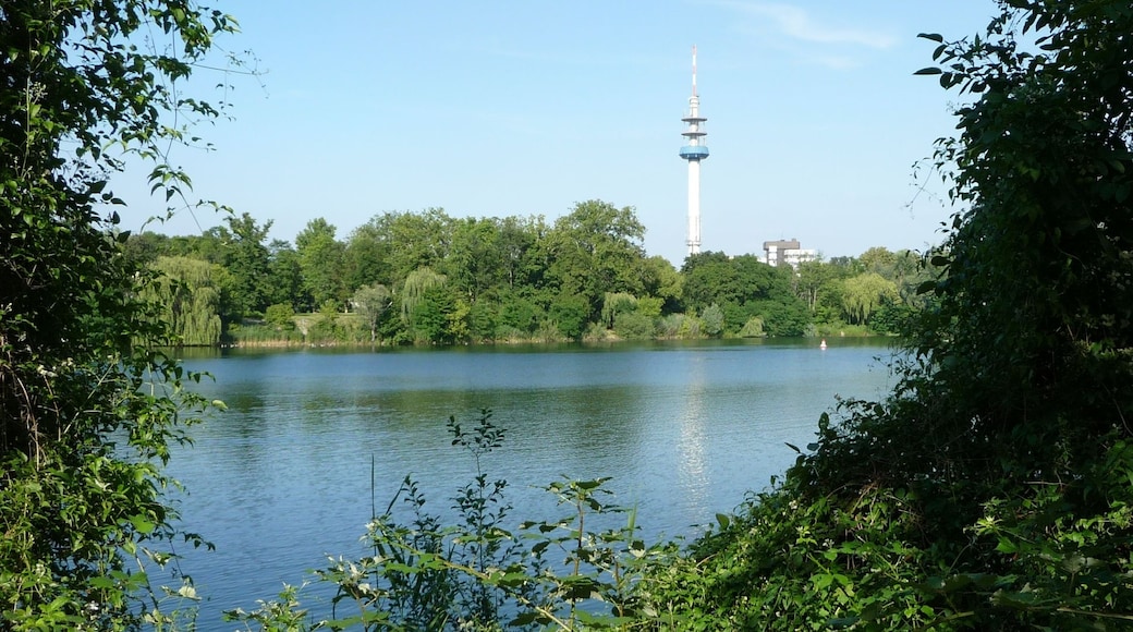 Kuva ”Ludwigshafen-Mundenheim” käyttäjältä Immanuel Giel (CC BY) / rajattu alkuperäisestä kuvasta