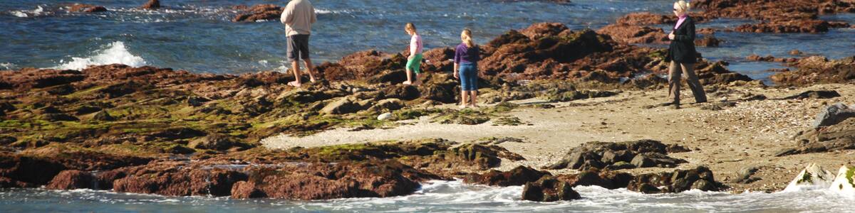 Photo "DISFRUTANDO DEL DIA" by joselito2311 (Creative Commons Attribution-Share Alike 3.0) / Cropped from original