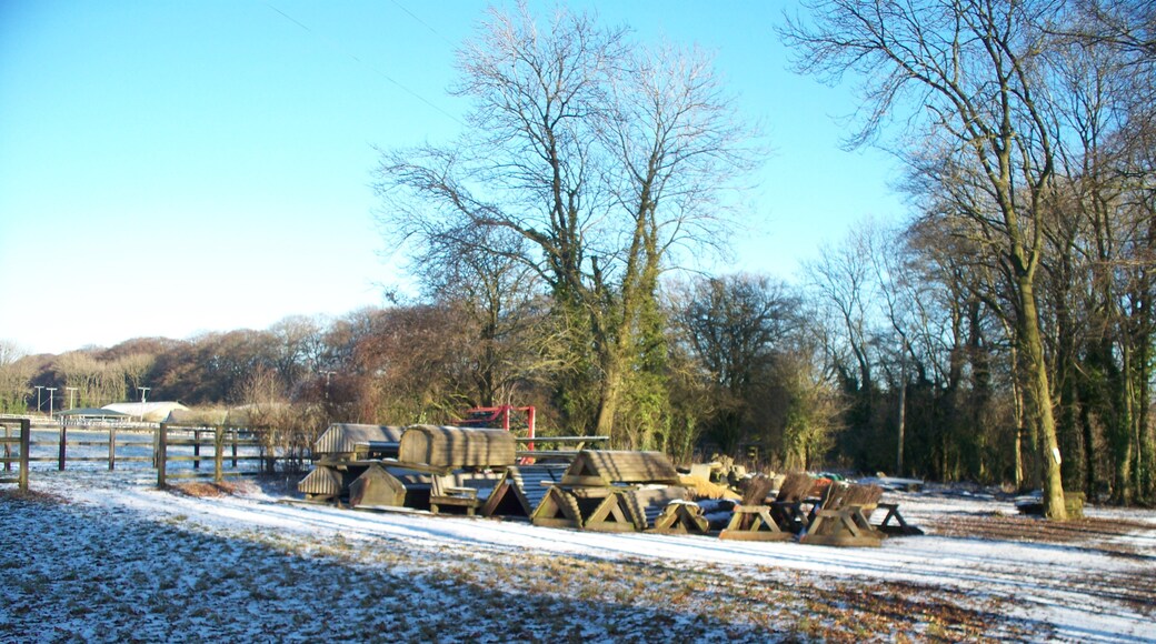 Billede "Sezincote" af Michael Dibb (CC BY-SA) / beskåret fra det originale billede