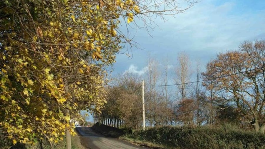 Photo "Dry Hill Lane Lower Denby Near to the Dunkirk public house." by Steve F (Creative Commons Attribution-Share Alike 2.0) / Cropped from original