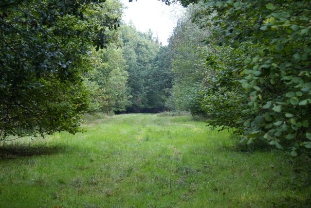 Foto „Worminghall“ von Mark Edwards (CC BY-SA)/zugeschnittenes Original