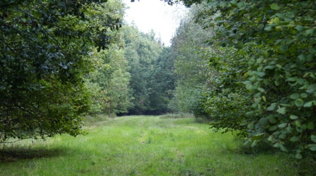 Photo "Worminghall" by Mark Edwards (CC BY-SA) / Cropped from original