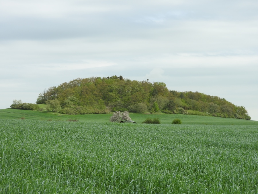 Hügel bei Förthen, Thüringen