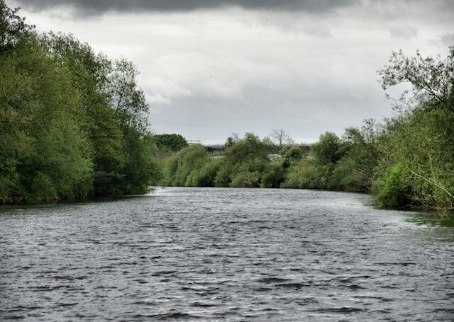 Photo "Holdfast" by Pierre Terre (CC BY-SA) / Cropped from original