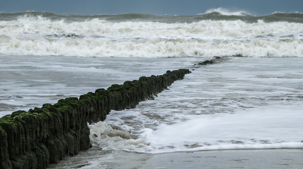 Photo "Norderney" by Dietmar Rabich (CC BY-SA) / Cropped from original