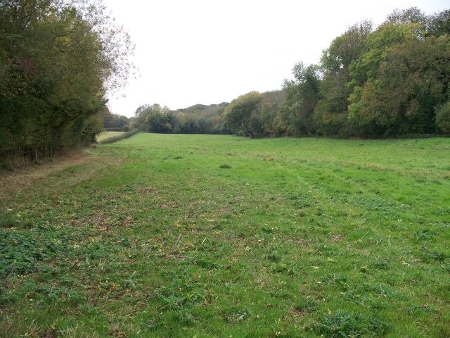 Long field, looking southwest The path passes through this long, narrow field before entering Wolford Wood. Leamington Coppice is to the right.