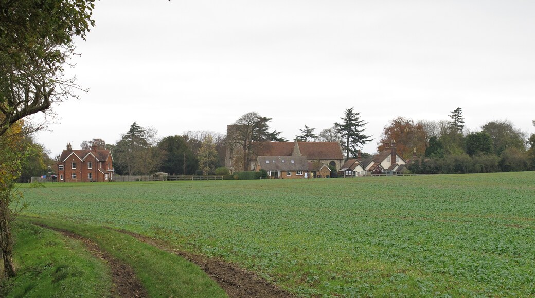 Kuva ”Little Easton” käyttäjältä Roger Jones (CC BY-SA) / rajattu alkuperäisestä kuvasta