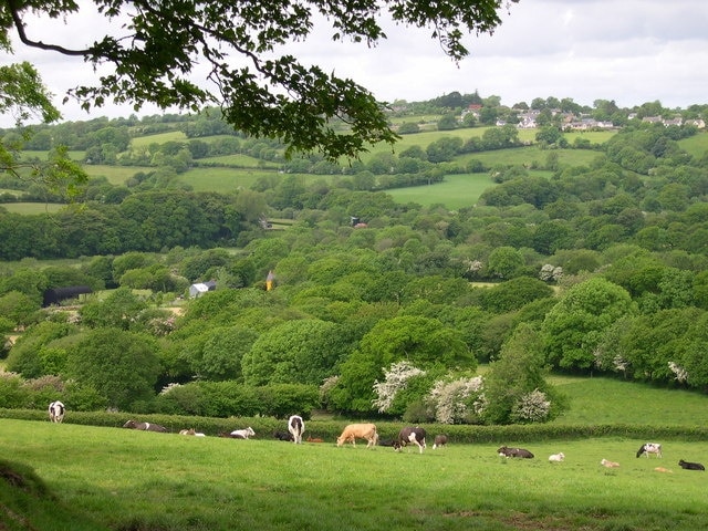 Llawhaden farmland