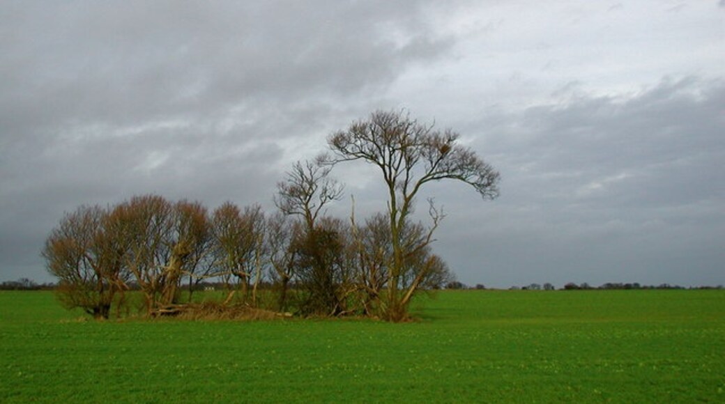 Photo "Patrington" by Paul Glazzard (CC BY-SA) / Cropped from original