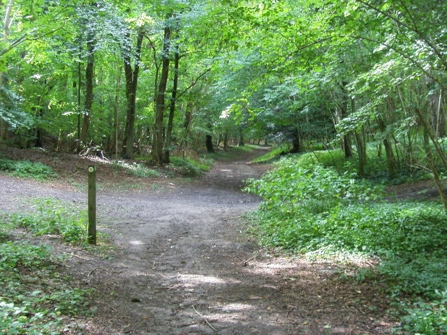 Photo "Little Marlow" by Shaun Ferguson (CC BY-SA) / Cropped from original