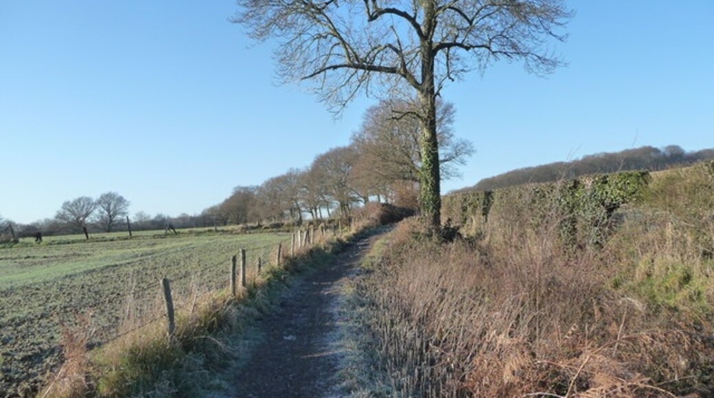 Foto "Dockenfield" por Diane Sambrook (CC BY-SA) / Recortada de la original