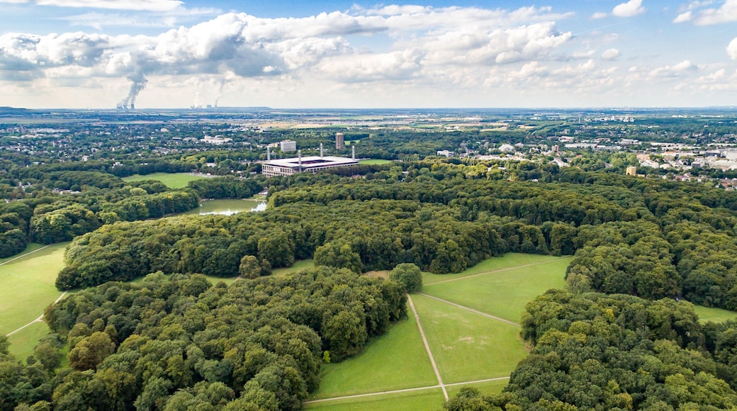 « Braunsfeld», photo de dronepicr (CC BY) / rognée de l’originale
