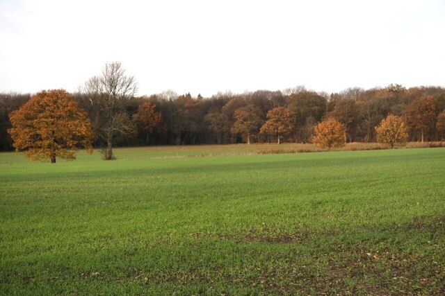 Billede "Shelland" af Bob Jones (CC BY-SA) / beskåret fra det originale billede