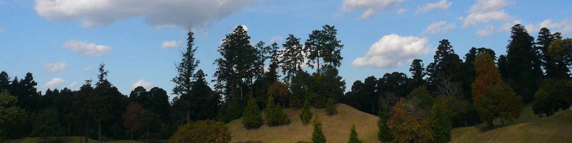 Odai, Shibayama, Sanbu District, Chiba Prefecture 289-1605, Japan
