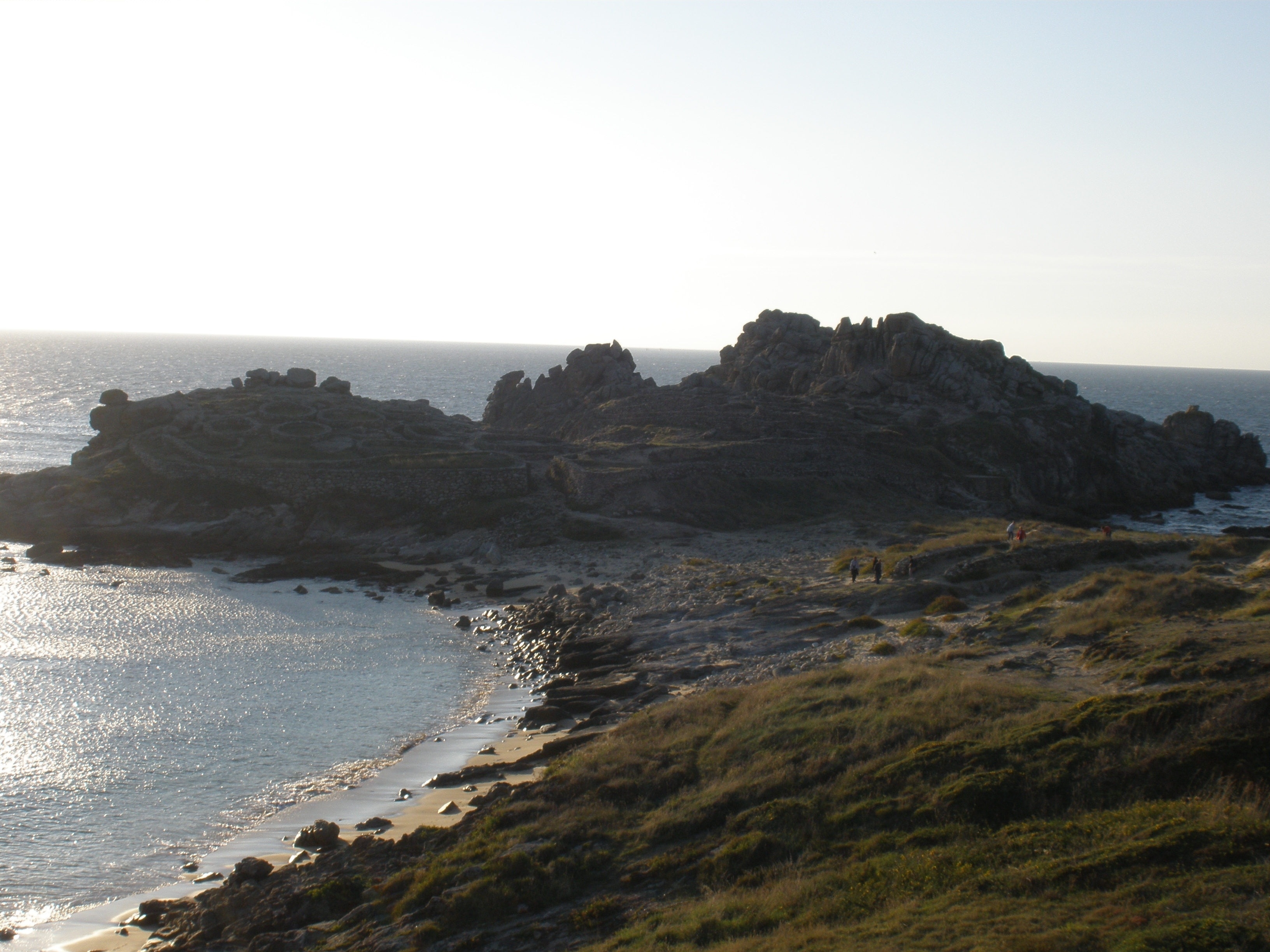 Foto "Barona" de Iomon (CC BY) / Recortada de la original