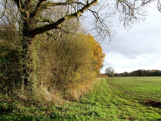 Kuva ”Welton le Marsh” käyttäjältä Dave Hitchborne (CC BY-SA) / rajattu alkuperäisestä kuvasta