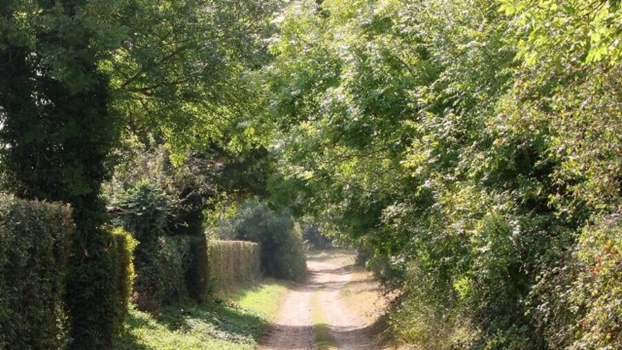 Photo "Lane to Cottage Fen" by Lisa Wild (Creative Commons Attribution-Share Alike 2.0) / Cropped from original