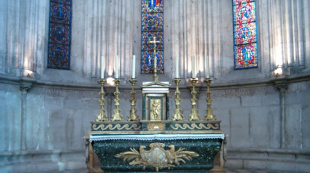 Maître-autel de la Cathédrale de Vienne. Janvier 2007.