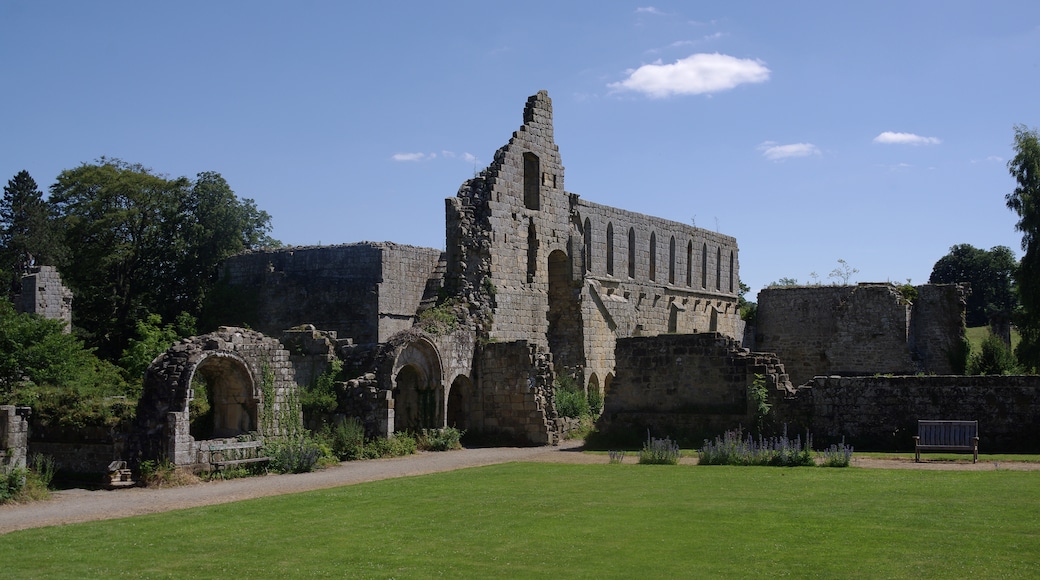 Jervaulx Abbey, Ripon, England, United Kingdom
