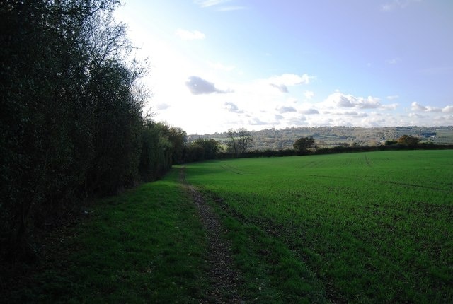 Field boundary near Crouch