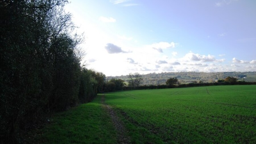 Photo "Field boundary near Crouch" by Nigel Chadwick (Creative Commons Attribution-Share Alike 2.0) / Cropped from original