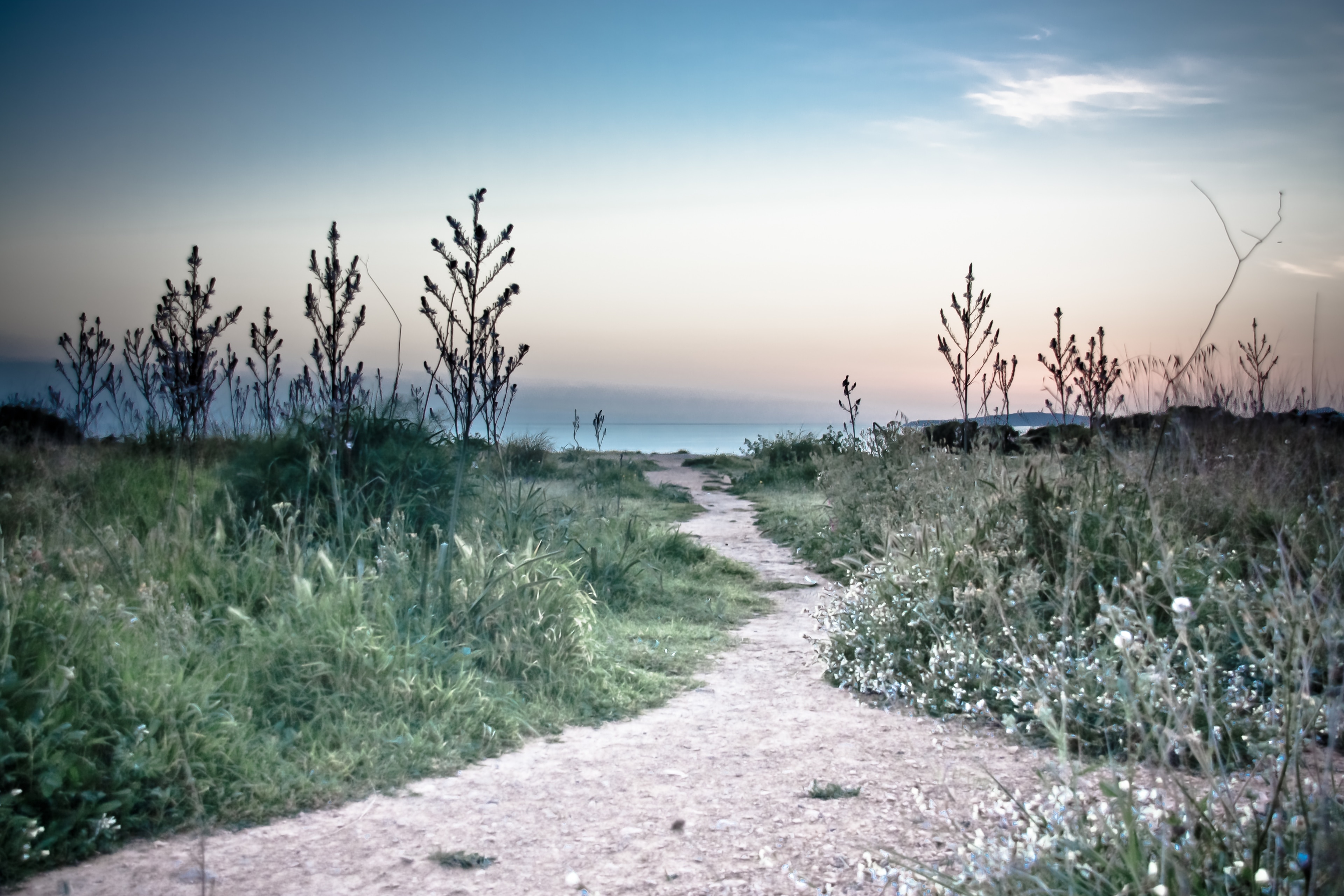 Foto "Sa Torre" por Andrés Nieto Porras (CC BY-SA) / Recortada de la original