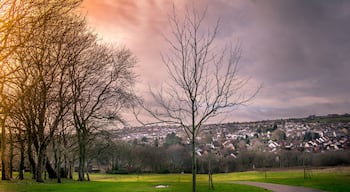 500px provided description: Park View [#park ,#sunset ,#landscapes ,#fields ,#walks ,#colourful ,#wales ,#swansea ,#housing ,#parks ,#estates ,#pathways ,#welsh parks ,#welsh landscapes ,#llewelyn park]