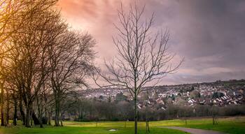 500px provided description: Park View [#park ,#sunset ,#landscapes ,#fields ,#walks ,#colourful ,#wales ,#swansea ,#housing ,#parks ,#estates ,#pathways ,#welsh parks ,#welsh landscapes ,#llewelyn park]