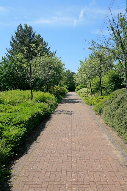 Typical pedestrian walkway in Solent Business Park The park is well landscaped and has at least five lakes in it.