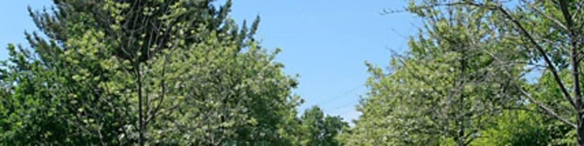 Photo "Typical pedestrian walkway in Solent Business Park The park is well landscaped and has at least five lakes in it." by Peter Facey (Creative Commons Attribution-Share Alike 2.0) / Cropped from original