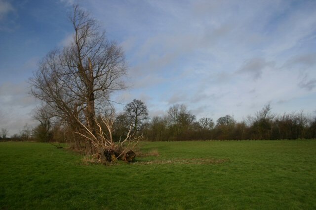 Foto "Wetherden" de Bob Jones (CC BY-SA) / Recortada do original